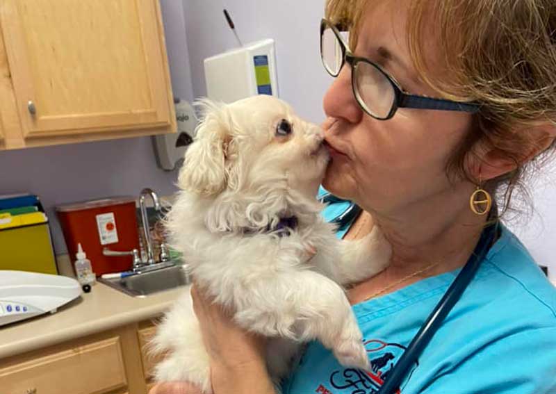 Carousel Slide 6: Meet our caring veterinary team!