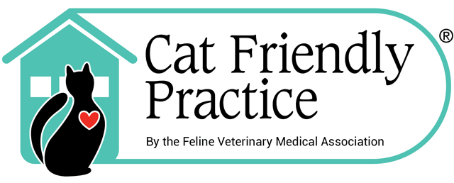 Cat Friendly Veterinarian